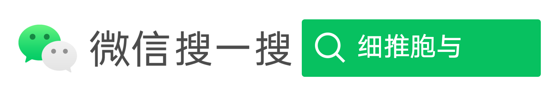 微信公众号:细推胞与